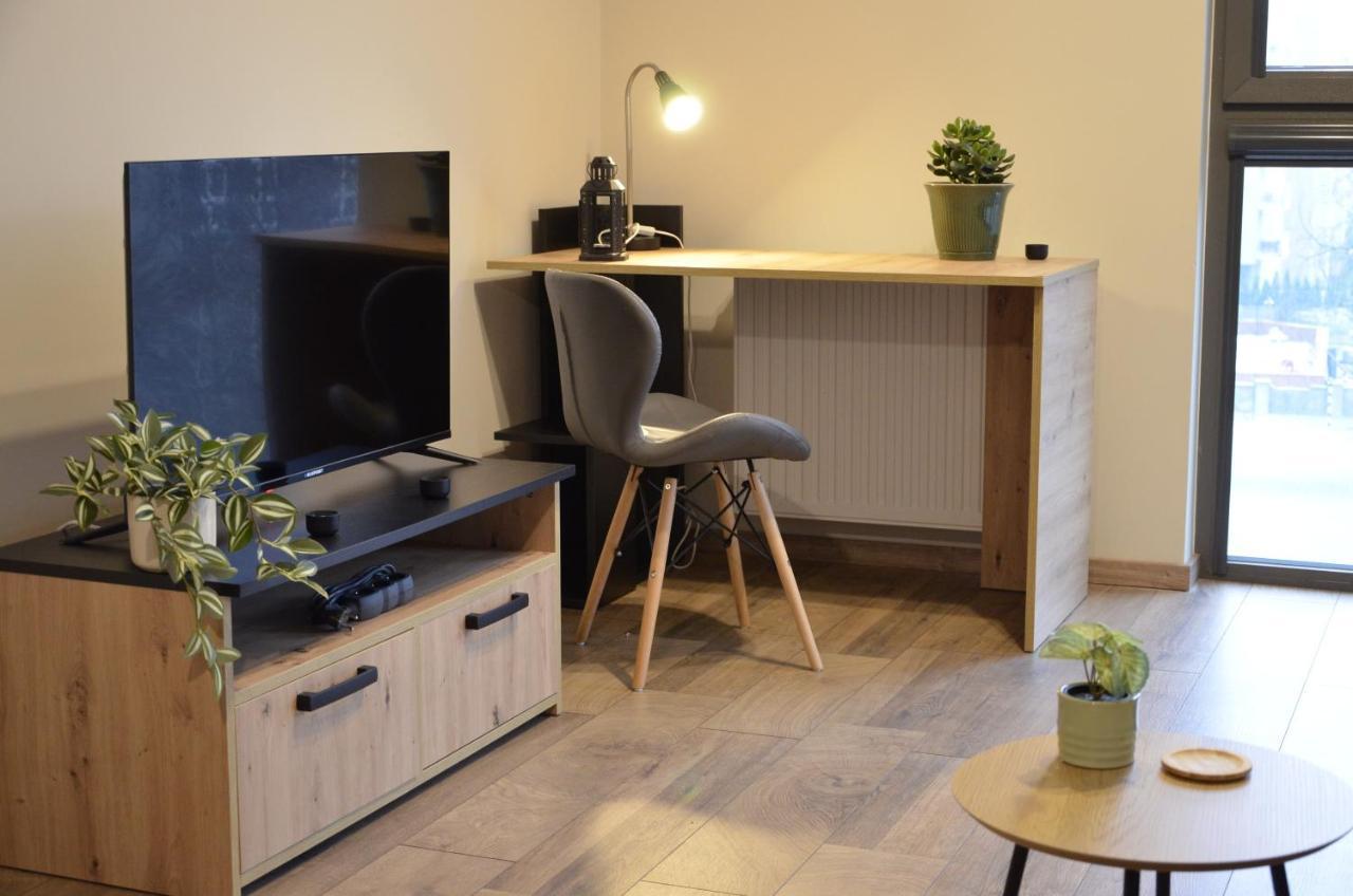 Roof Terrace Old Town Apartments With Private Parking 格但斯克 外观 照片